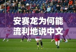 安赛龙流利说中文的原因解析  第1张