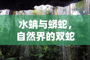 水蚺与蟒蛇，自然界的双蛇之谜  第1张