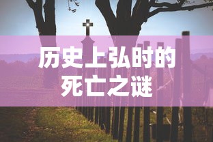 历史上弘时的死亡之谜  第1张