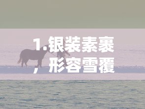 银装素裹的雪世界  第1张