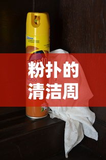 粉扑的清洁周期与洗涤频率建议  第1张