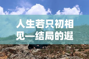 人生若只初相见，结局的遐思  第1张