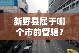 新野县属于南阳市的管辖。  第1张