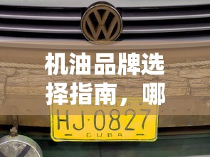 三国志13隐藏女武将  第1张