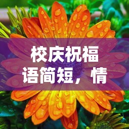 校庆祝福，情深意长共庆华章  第1张