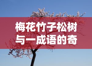 梅花竹子松树与成语岁寒三友的奇妙联系  第1张