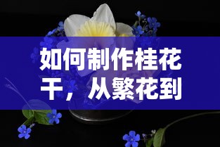 制作桂花干，从繁花到干花的完美蜕变  第1张