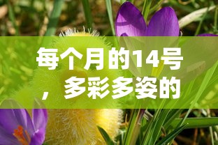 每月14号，多彩多姿的情人节  第1张
