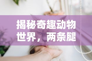 V7V3--cc  第1张