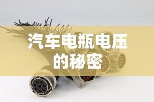 橡实果进化  第1张