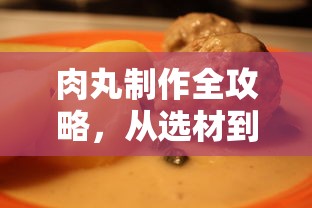 肉丸制作全攻略，从选材到烹饪的完美呈现  第1张