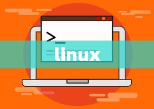 Postman在Linux下管理API集合的步骤指南  第1张