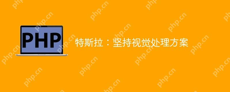 特斯拉，坚持视觉处理方案的领导者  第1张