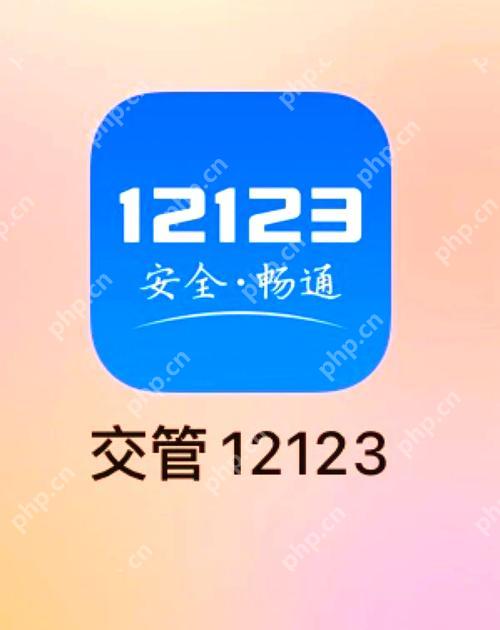交管12123查看违章视频记录的分享方法  第1张