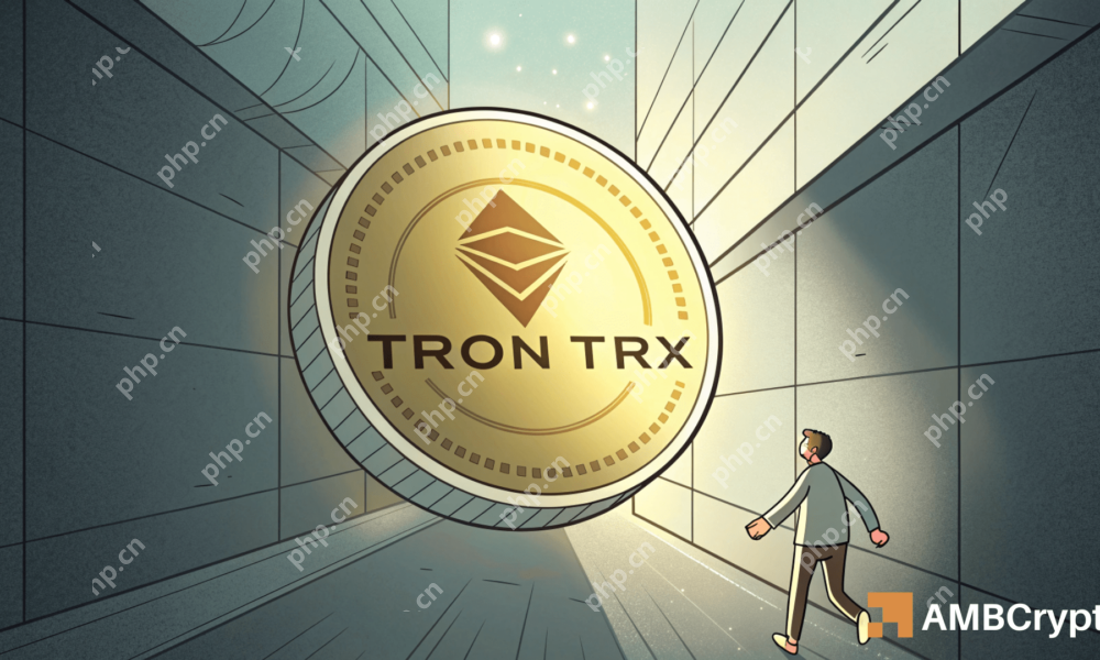 TRX [TRON] 价格困境背后的强劲增长，基本增长显著但价格仍受合并范围制约  第1张