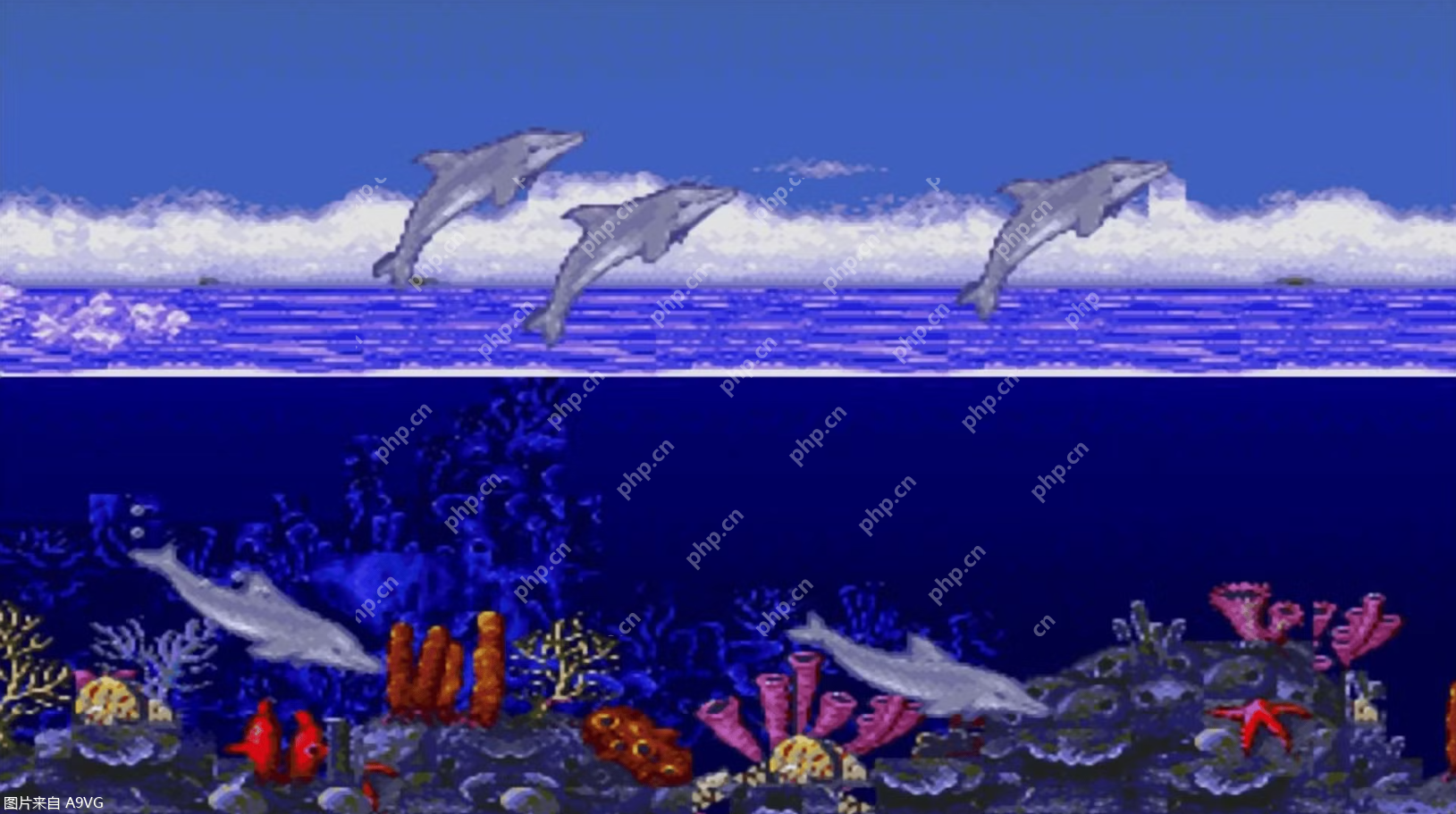 海豚历险记三部曲高清版及第三部新作震撼发布 第1张 海豚历险记三部曲高清版及第三部新作震撼发布 第1张