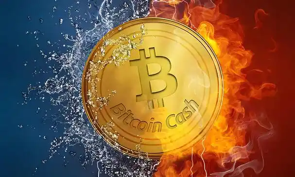 XAI首次发行价格保密。  第1张