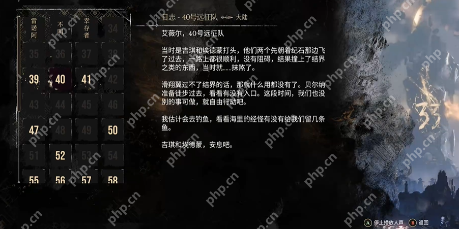 光影之谜，33号与40号远征队的日志收集与定位  第3张