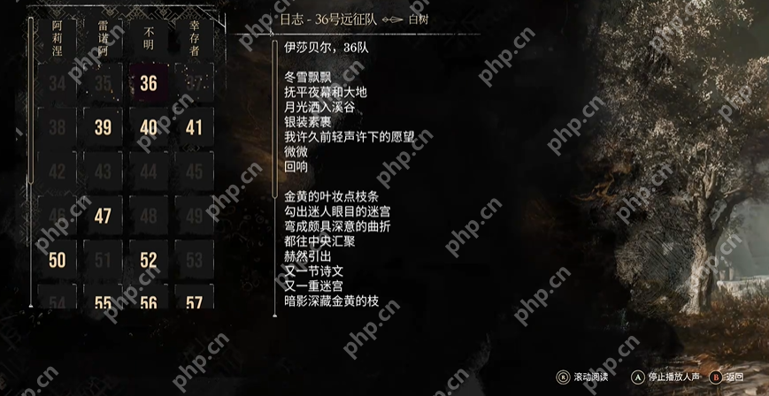 光影交织，33号与36号远征队日志位置全记录  第1张