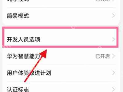 华为P50 Pro关闭开发者模式的步骤  第2张