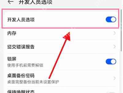 华为P50 Pro关闭开发者模式的步骤  第3张