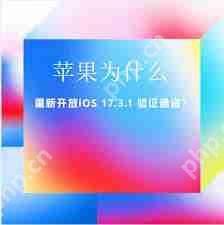 iOS 17.3.1开放验证通道  第1张