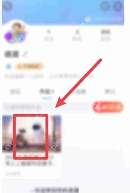 美篇文章访问来源教程解析  第1张