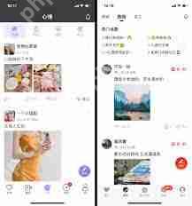 心遇APP查看家族活跃榜的方法  第1张