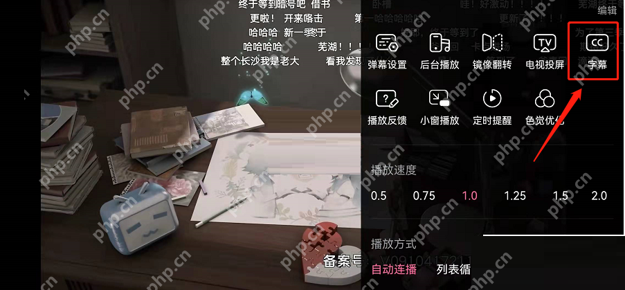 哔哩哔哩智能字幕启动教程  第2张
