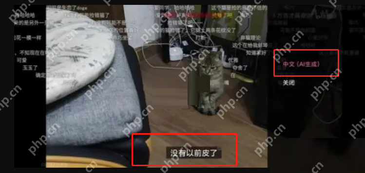 哔哩哔哩智能字幕启动教程  第3张