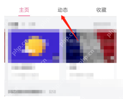 哔哩哔哩动态置顶技巧详解  第2张