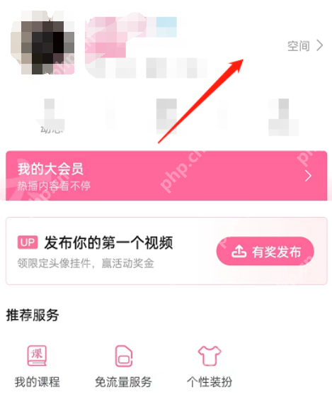 哔哩哔哩动态置顶技巧详解  第1张