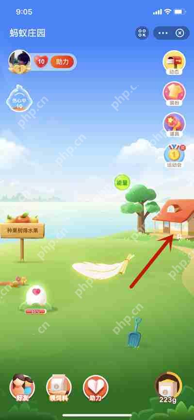 蚂蚁庄园小鸡失踪解决方法  第1张