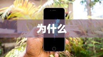 解决PremierePro调色后视频画面偏色问题的方法  第1张