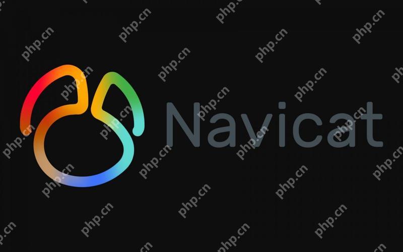优化Navicat操作数据库的界面显示与操作体验的技巧  第1张