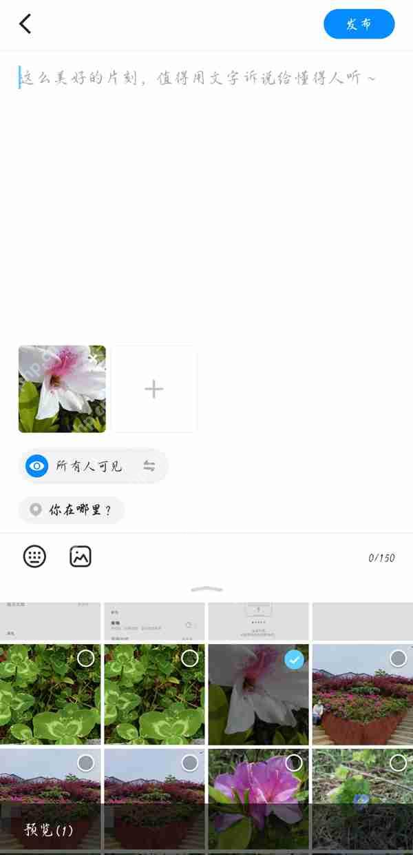 贴贴相册照片的发布方法  第3张