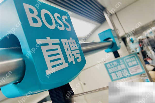 Boss直聘招人费用介绍  第2张