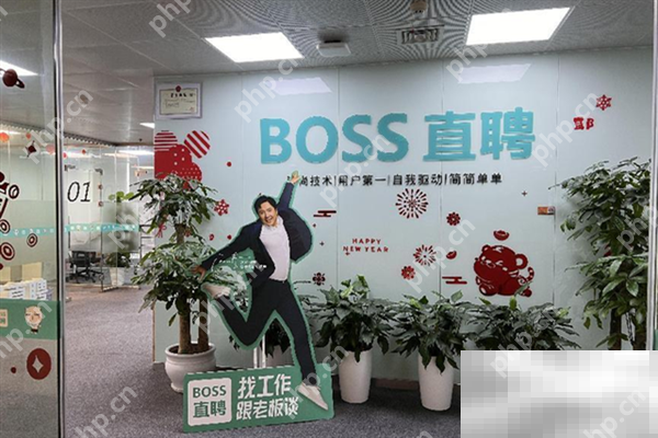 Boss直聘招人费用介绍  第3张