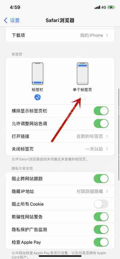 iOS 15 Safari浏览器切换至旧版本操作指南  第2张
