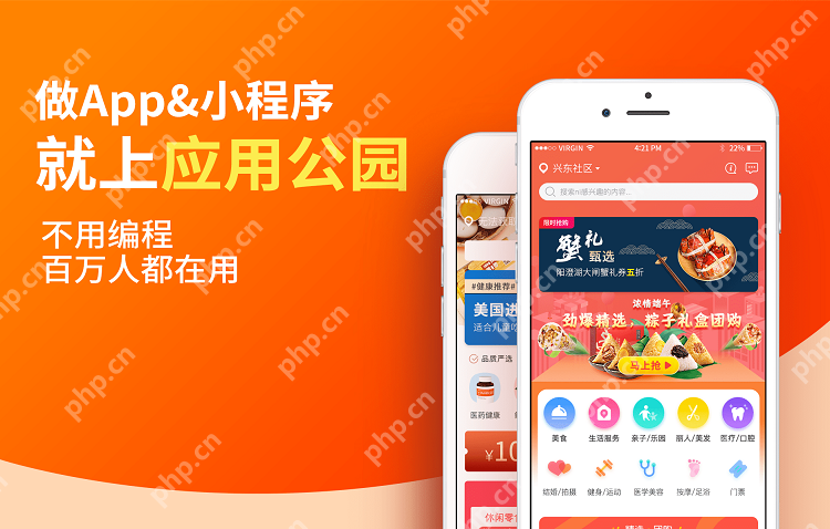 全球软件开发外包公司排名  第2张
