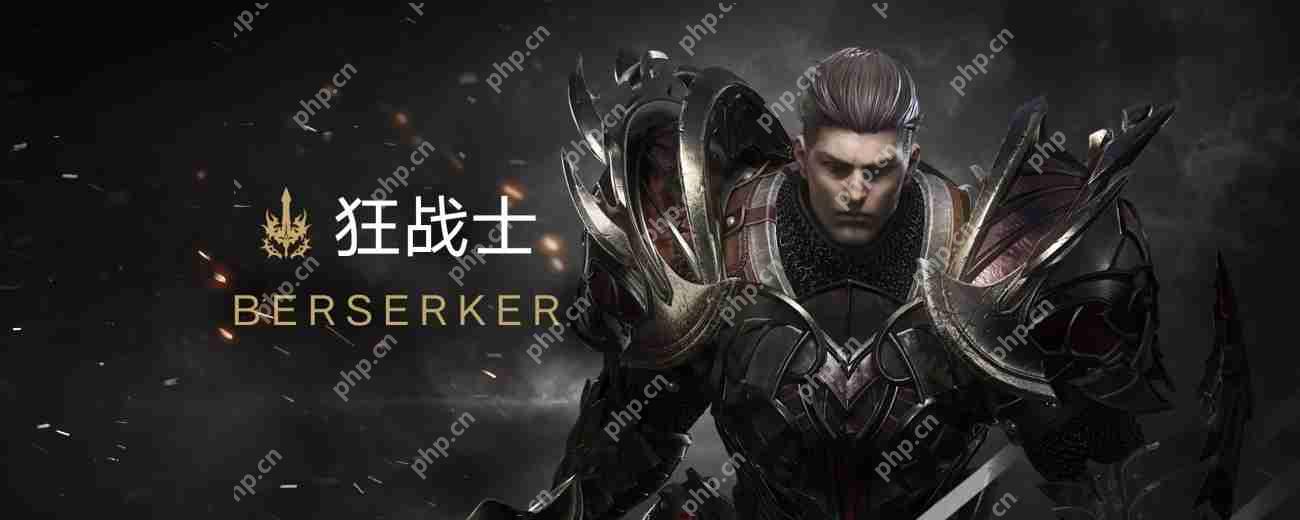 命运方舟，狂战士黑狂属性选择指南  第1张
