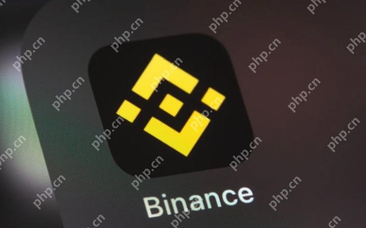 币安官方安卓版v2.99.5安装使用全攻略  第1张