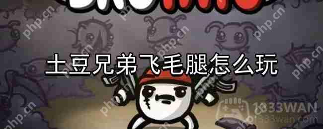 土豆兄弟飞毛腿攻略  第1张