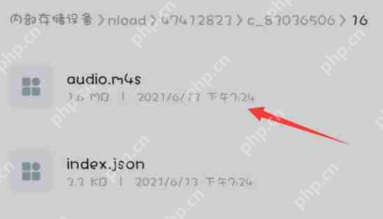 哔哩哔哩视频音频提取简易教程  第5张