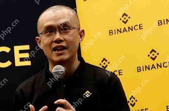赵长鹏公开评价，BNB被视为Meme币，社群热议不断！  第1张