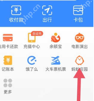 支付宝蚂蚁庄园给小鸡改名的步骤  第2张