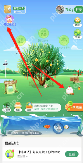 支付宝蚂蚁庄园五周年回顾观看指南  第2张