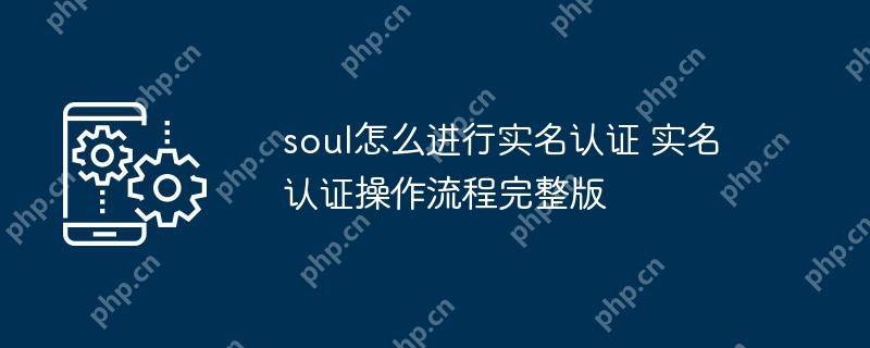 Soul实名认证操作流程完整版  第1张