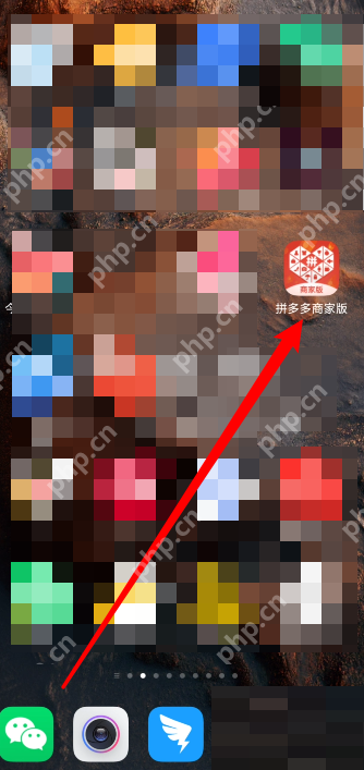 拼多多商家版登录记录查看方法  第1张
