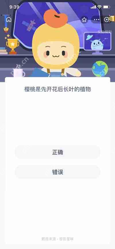 樱桃，先开花后长叶的植物  第1张